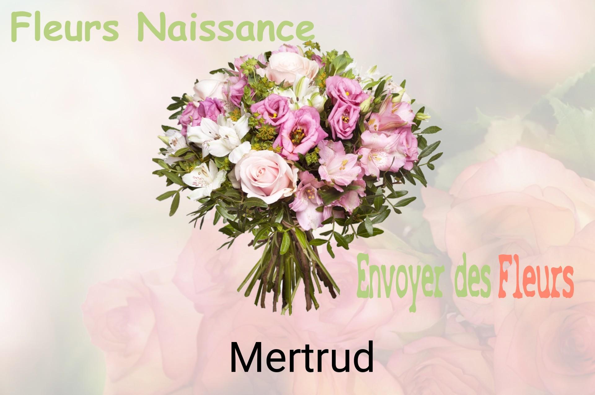 Bouquet de fleurs de naissance livré à Mertrud